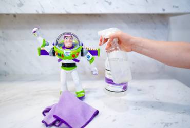 Toy Cleaning & Maintenance